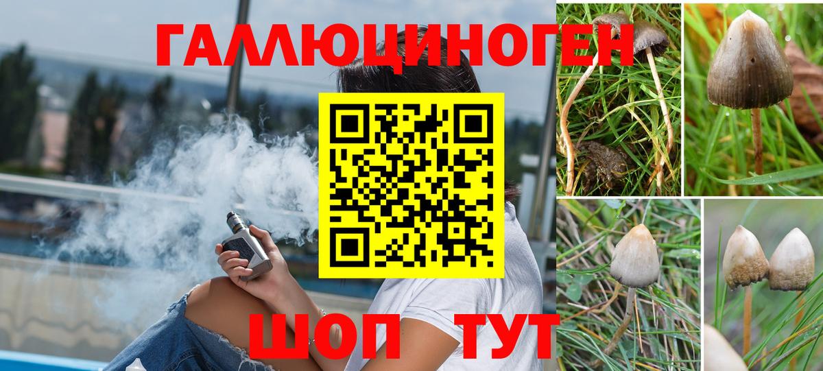 Псилоцибиновые грибы ЛСД Артём