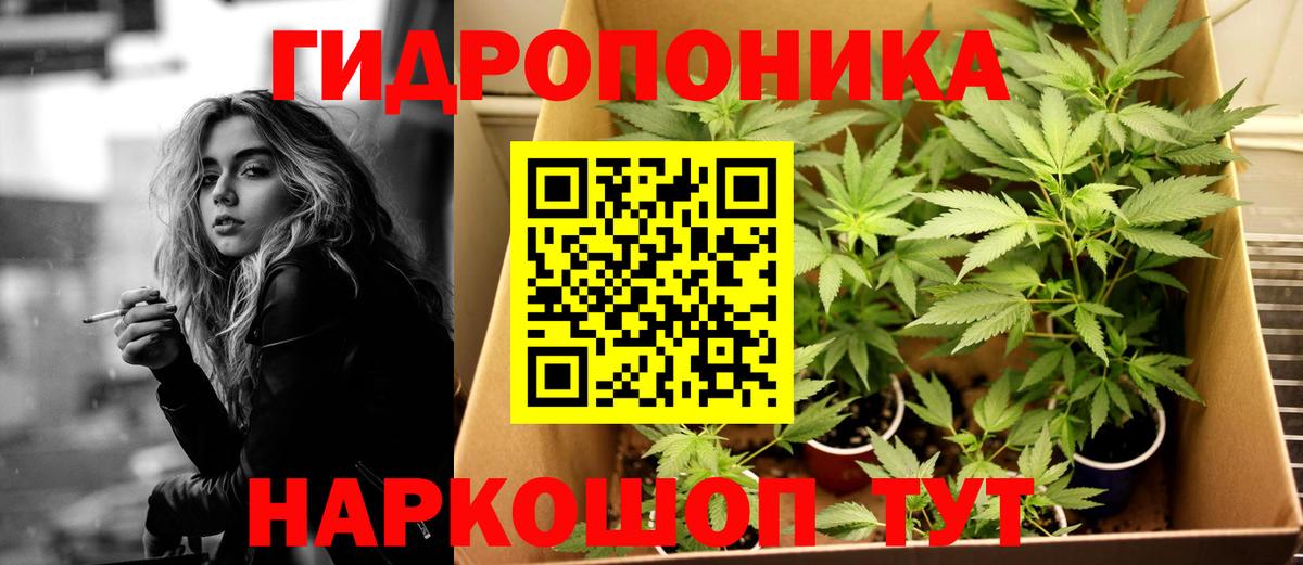 Артём  Бошки Шишки марихуана  Вход с VPN  Шишки марихуана AK-47  Шишки марихуана AK-47 